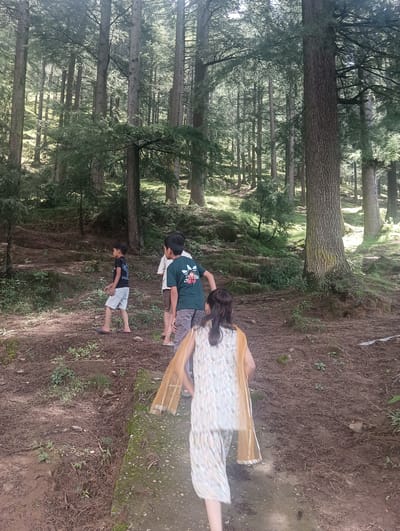 Four individuals, three appearing to be boys and one girl, are walking on a dirt path through a dense forest. The boys are walking ahead of the girl, who is in the foreground and facing away from the camera. The boys are dressed casually in t-shirts and shorts. The girl is wearing a patterned dress with a golden scarf. The forest consists of tall, slender trees with green foliage. The ground is covered in dirt, pine needles, and some sparse vegetation. Sunlight filters through the trees, creating dappled light and shadows on the forest floor. The scene suggests a recreational activity, possibly hiking or exploring, in a natural, outdoor environment. The location is identified as Khakhnal, India.