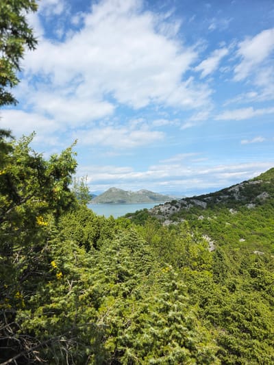 The image shows a view of Lake Skadar from Godinje, Montenegro, under a partly cloudy sky. The perspective is angled, showing lush green vegetation and trees in the foreground and on the right side of the frame. In the center, the lake stretches towards the horizon, bordered by rocky cliffs and mountains. The sky is blue with streaks of white clouds running parallel to the horizon. There are no visible people, animals, or signs of human activity beyond the presence of the lake and the implied viewpoint from the land.