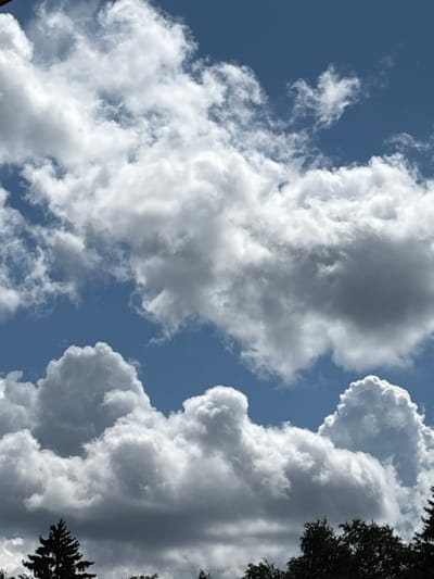 The image shows a bright blue sky filled with fluffy white and gray cumulus clouds. In the lower portion of the image, the tops of dark green evergreen trees are visible, suggesting an outdoor scene in a location with natural foliage. The lighting indicates it is daytime, likely sunny with partial cloud cover. There are no people or specific man-made structures clearly identifiable in the frame, with the focus being on the natural elements of the sky and treetops. The scene is consistent with a view from an elevated or open area, possibly within a residential or natural park setting.