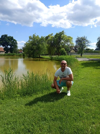 An adult male is observed squatting on vibrant green grass beside a murky, olive-brown pond in Ptice, Czechia. The man is bald, has facial stubble, and wears dark sunglasses with light frames, a light-colored t-shirt with a partial "JOLLY JOURNEY" graphic, light blue shorts, and white athletic shoes with green accents. He is smiling with his mouth open, and his hands rest on his knees. Tall green reeds line the pond's edge on the left, while the opposite bank features dense green foliage, mature trees, and several houses with red-tiled roofs partially obscured by vegetation. On the far right, a gravel path with a yellow barrier pole and a stone wall are visible. The sky above is clear blue with scattered white cumulus clouds, and bright sunlight casts distinct shadows on the grass from the left.