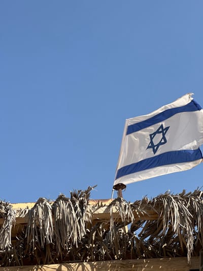 A white Israeli flag, featuring two horizontal blue stripes and a central blue Star of David, is depicted flying against a clear, cloudless blue sky under direct sunlight. The flag is mounted on a pole that extends upwards from a structure, the roof of which is visibly thatched with dried, light brown palm fronds. Portions of the underlying wooden framework of the structure are visible beneath the thatch. The scene is located in the Ramat Negev Regional Council, Israel. No individuals are present, and no specific actions or interactions beyond the flag's movement in the wind are evident.