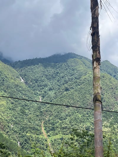 The image shows a view of a lush green mountainside in Bình Lư, Vietnam, under a cloudy sky. In the foreground, a tall, dried-out tree trunk stands vertically, its rough texture and sparse branches contrasting with the vibrant foliage behind it. Two black power lines stretch horizontally across the frame, partially obscuring the view of the mountain. The mountain itself is densely covered in trees, with visible waterfalls cascading down its slopes. The overall atmosphere is damp and misty, suggesting a humid environment. There are no people or animals visible in the image.