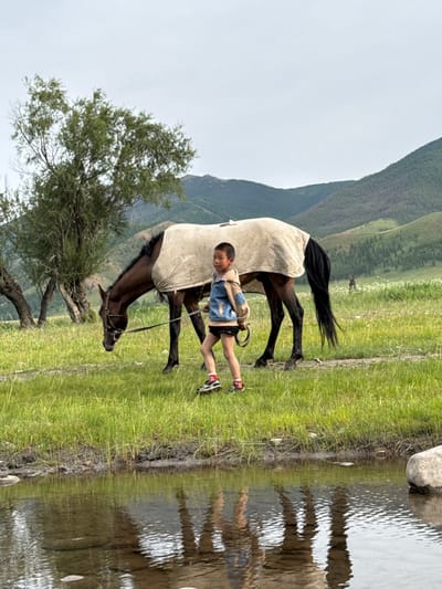 The image depicts a rural scene in Burentogtoh, Mongolia, featuring a young child and a horse in a grassy, mountainous landscape. In the foreground, a shallow stream with muddy banks reflects the figures and the sky.
A single child, appearing to be approximately 5-7 years old, is walking from left to right, facing slightly towards the viewer. The child wears a light-colored sleeveless top over a dark underlayer, dark shorts, white socks with red accents, and dark athletic shoes. The child holds a dark lead rope or rein in their right hand, which connects to the horse's halter.
To the child's left and slightly behind, a dark brown or bay horse is present. The horse is covered by a large, light-colored (beige or off-white) blanket extending over its back and sides. A dark halter is visible on the horse's head, and its head is lowered towards the ground, indicating grazing.
The immediate environment consists of vibrant green grass. To the left, several trees with green foliage are visible. In the background, rolling green mountains rise under an overcast sky. A light-colored rock is situated on the right bank of the stream.