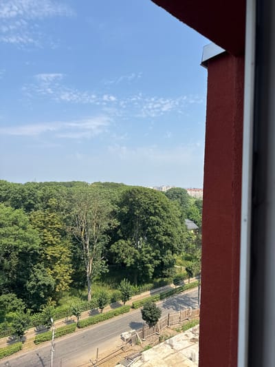 The image is a vertical, eye-level outdoor shot capturing a view from a building's edge. The foreground is dominated by a red-painted ledge, partially obscuring the scene below. Below the ledge, a vast expanse of clear blue sky stretches across the left side of the frame, dotted with sparse, wispy white clouds.
The right side of the image presents a contrasting landscape. A dense, lush green forest fills the middle ground, its canopy appearing thick and healthy. A single, bare tree with light-colored branches stands out prominently within the forest, its starkness a visual counterpoint to the surrounding foliage. Beyond the forest, a road runs diagonally from the bottom right corner towards the horizon. The road is lined with green vegetation and a few scattered trees. On the far right of the image, a light-colored building with visible construction scaffolding and rebar suggests ongoing development. In the distance, faint outlines of urban structures can be discerned, hinting at a town or city beyond the immediate greenery.
The time of day appears to be daytime, likely late morning or early afternoon, given the bright sunlight casting shadows. The weather seems pleasant, with a clear sky indicating fair conditions. The scene evokes a sense of calm and a juxtaposition of urban development and natural beauty. There is no visible text in the image. The location context is Kolomyia, Ukraine.