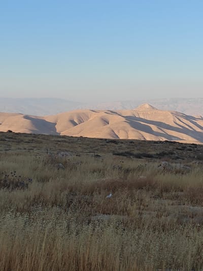 The image depicts a panoramic view of a desert landscape with rolling, tan-colored hills in the background. The hills exhibit dramatic shadows, suggesting the sun is low in the sky, possibly during sunrise or sunset. In the foreground, dry, golden grass and sparse vegetation cover the ground, with some scattered rocks and a few small, dark-blue flowers. A thin, dark line, possibly a fence or a subtle contour in the terrain, runs horizontally across the mid-ground, separating the foreground from the distant hills. The sky is a clear, gradient blue, transitioning from a lighter hue near the horizon to a deeper blue at the top. The location is identified as Ma'ale Efrayim, Palestinian Territories. There are no visible people, animals, or structures in the scene.