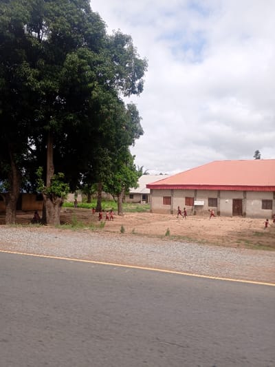 The image depicts a roadside scene in Sobon-Gida, Nigeria. In the foreground, a dark grey asphalt road occupies the lower portion of the frame, featuring a single yellow dividing line along its right edge. Adjacent to the road is a grey gravel shoulder.
Beyond the gravel, a large, unpaved dirt area extends towards the background. This area contains multiple mature trees with dense green foliage and thick trunks. Beneath one of these trees on the left, an individual is seated on the ground. Scattered across the dirt area are approximately ten children, primarily dressed in red or maroon shirts and dark lower garments. They are engaged in various movements, consistent with running and walking, suggesting play or transit. For instance, a group of three children are running towards the right in the midground, while others are dispersed near the trees and buildings.
In the background, two single-story buildings are visible. The building on the right has light grey walls and is topped with a prominent orange-red corrugated metal roof. It features several rectangular windows with dark frames and two dark brown doors. A white rectangular sign with blue text is affixed to its facade between two windows. To the left of this building and partially obscured by trees, another single-story building with a lighter-colored roof is visible. The ground cover in the unpaved area is predominantly bare earth with sparse green vegetation. The sky is overcast, showing a mix of white and grey clouds.