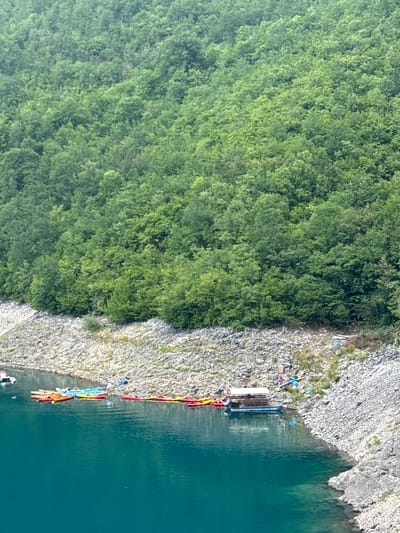 This aerial shot, taken in Bezuje, Montenegro, captures a serene natural landscape where a dense, green forest meets a calm, turquoise body of water. The forest dominates the left side of the frame, its lush canopy a vibrant tapestry of varying shades of green. The trees appear healthy and full, suggesting a temperate climate.

Along the rocky shoreline, a collection of kayaks and canoes are neatly arranged, hinting at a popular spot for water recreation. Several people are visible near the boats, some possibly preparing for or disembarking from an activity. A small, white boat is also present, and a wooden dock or pier extends slightly into the water, facilitating access to the kayaks. The water is clear and still, reflecting the sunlight with a gentle ripple. The rocky terrain transitions from the forest edge to the water, characterized by small to medium-sized stones and sparse vegetation. The scene evokes a sense of peace and outdoor adventure. The lighting suggests it is daytime, likely late morning or afternoon, with clear skies and good visibility. No text is visible in the image.