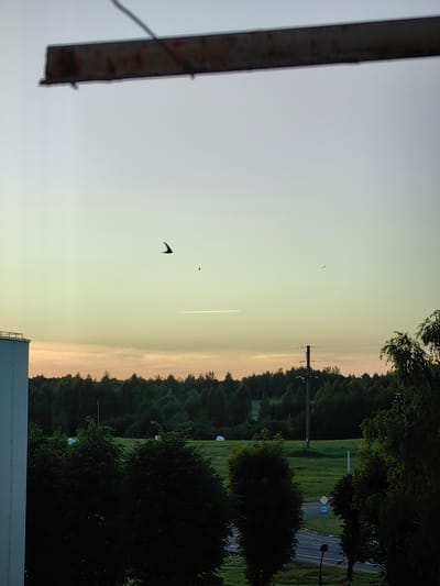 The image depicts a rural landscape at dusk, likely on the outskirts of Myadzyel, Belarus. The sky is a pale gradient of yellow and orange, transitioning to a light gray at the top. A dark, metallic beam or structure is visible across the upper portion of the frame, possibly part of a building or utility pole. In the sky, two birds are silhouetted against the lighter background, with one bird prominently appearing in flight with wings spread in a distinct V-shape. A white contrail from an aircraft is streaked horizontally across the middle of the sky. Below the sky, a dense line of dark green trees forms a horizon. In the foreground, on the left, a portion of a white, rectangular building is visible. To the right of the building, dark green foliage of trees dominates the lower part of the image. In the mid-ground, a green field is visible, with several white cylindrical objects, likely hay bales, scattered across it. A dark, paved road curves through the field, with a traffic sign visible. Power lines and utility poles are interspersed throughout the scene, connecting to the distant trees. The overall impression is one of a serene, rural setting during twilight.