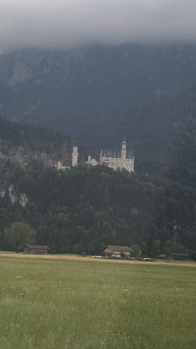 The image displays Neuschwanstein Castle, a 19th-century Romanesque Revival palace situated on a rugged hill above the village of Hohenschwangau near Füssen in southwest Bavaria, Germany. The castle, a prominent tourist destination, is perched amidst dense green forestation on a rocky outcrop. The sky above is overcast and hazy, partially obscuring the mountainous backdrop. In the foreground, a vast, green meadow stretches out, dotted with wildflowers. Several farm buildings with reddish-brown roofs are visible within the meadow, suggesting a rural setting. The overall impression is one of a misty, tranquil landscape dominated by the majestic castle.