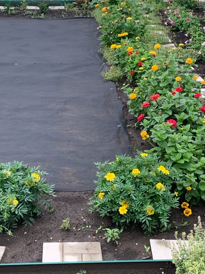 This image depicts a garden bed in Dubnik, Russia, featuring a variety of flowers and landscaping materials. A large section of black landscape fabric covers the ground on the left side of the frame. Adjacent to this fabric, on the right, is a densely planted flower bed showcasing an array of colorful blooms, predominantly in shades of yellow, red, and orange. Among these are zinnias and marigolds, with their vibrant petals and green foliage. Scattered throughout the garden are light-colored stepping stones or pavers, some laid directly into the dark soil. The background suggests a well-maintained garden environment with more greenery and flowers extending beyond the immediate focus. There are no people visible in the scene. The overall impression is one of a carefully cultivated outdoor space.