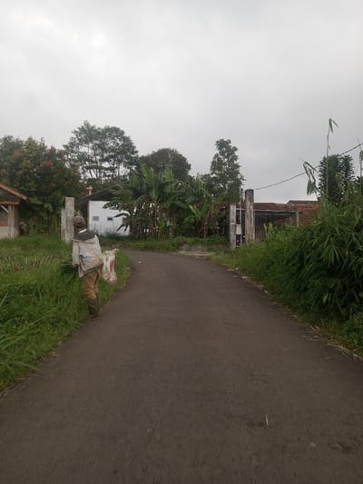 A narrow asphalt road leads towards a gate flanked by concrete pillars. Dense greenery lines both sides of the road, obscuring the view of houses and trees beyond. A man, wearing work clothes and carrying a sack, stands on the left edge of the road near the grass. The sky is overcast, casting a flat, diffused light over the scene. Banana trees and other foliage are visible between the houses.