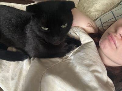 The image shows a close-up view of a person and a black cat lying down together, likely in a bedroom. The person, whose face is partially visible, appears to be relaxed and possibly sleeping or resting. Their head is turned away from the camera, with their lips and cheek in focus. The cat is nestled beside the person, with its face turned towards the camera. The cat's eyes are open and appear light green or yellow. The setting seems to be indoors, possibly on a bed, indicated by the presence of bedding that includes a light-colored duvet or comforter with a subtle pattern and a striped pillowcase. The lighting suggests it could be daytime, but the exact time of day is not clear. The overall mood of the image is intimate and peaceful, conveying a sense of comfort and companionship between the person and the cat. There is no visible text in the image. The location context provided is Opochka, Russia, which may refer to the general geographical area where the photo was taken.