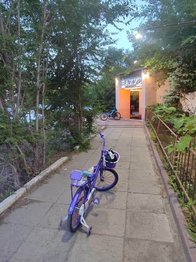 A purple child's bicycle with training wheels is parked on a concrete pathway in front of a building with a sign that reads "БАХУС". The bicycle has a basket on the handlebars containing some items. Another bicycle, a dark blue adult-sized one, is parked further up the path near the entrance of the building. The building appears to be an establishment with an awning lit by warm yellow lights. Trees and greenery line the pathway and the side of the building. A metal fence runs along the right side of the path. The lighting suggests it is dusk or early evening. The overall scene is calm and depicts an outdoor setting in Temirtau, Kazakhstan, likely near a business. There are no people visible in the immediate vicinity of the bicycles.