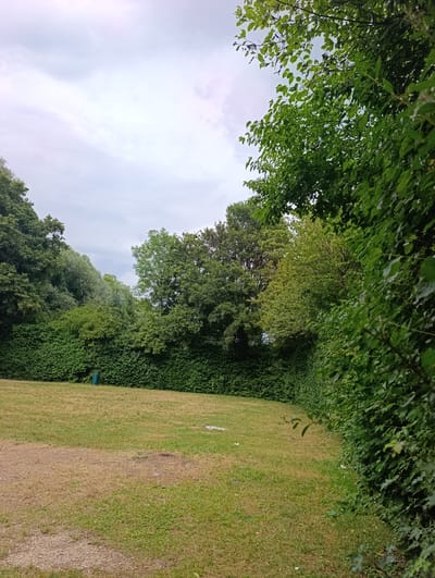 A medium shot shows a park-like area with a patch of dry grass in the foreground. To the left, a light-colored path transitions into the dry grass, which is interspersed with greener patches. A lone, dark green cylindrical object, possibly a trash can, stands on the edge of the grass field. Behind the field is a dense, dark green hedge that stretches across the frame. Beyond the hedge, a variety of trees with lush green foliage are visible, with some lighter green foliage intermingled. The sky above is overcast with a light grey hue, suggesting cloudy weather. The scene appears to be located in a suburban or rural setting in Neckartenzlingen, Germany, given the natural elements present. There are no people or animals visible in the image.