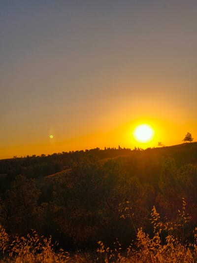 The image depicts a sunset over a rolling landscape, likely on the outskirts of Be'er-Sheva, Israel. The sky transitions from a pale blue at the top to a vibrant orange and yellow near the horizon. A large, bright sun is the focal point, positioned in the right half of the frame. To the left of the sun, a smaller, pale green orb is visible, possibly a lens flare or another atmospheric phenomenon.
The foreground is dominated by dark silhouettes of trees and vegetation, creating a stark contrast with the illuminated sky. The terrain appears to be hilly, with a line of trees silhouetted against the sunset along the crest of a hill. In the far distance, on the right side of the frame, a single, solitary tree stands atop a hill. The very bottom of the image shows dry, golden grasses catching the last rays of the sun. The overall impression is one of a tranquil, natural landscape bathed in the warm glow of the setting sun. There are no people or man-made structures visible in the image.