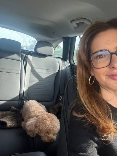 The image captures the interior of a vehicle located in Alcanena, Portugal. A female subject occupies the front passenger seat, her profile partially visible from the mid-face to the shoulder on the right side of the frame. She has light brown hair, wears square-framed eyeglasses with dark rims and a subtle reddish accent, a gold-colored oval hoop earring on her visible ear, and a dark long-sleeved top. Her lips are slightly upturned in an apparent smile. In the black leather rear seats, two canine subjects are present. A light brown, curly-haired dog is positioned prone on the seat, facing forward with its head resting down. Partially obscured behind it is a second, darker-furred dog. Direct sunlight enters the vehicle, casting distinct striped shadows across the rear seats. The background, visible through the rear and side windows, is blurred, indicating an exterior environment consistent with a road or highway, featuring green vegetation and indistinct distant structures.