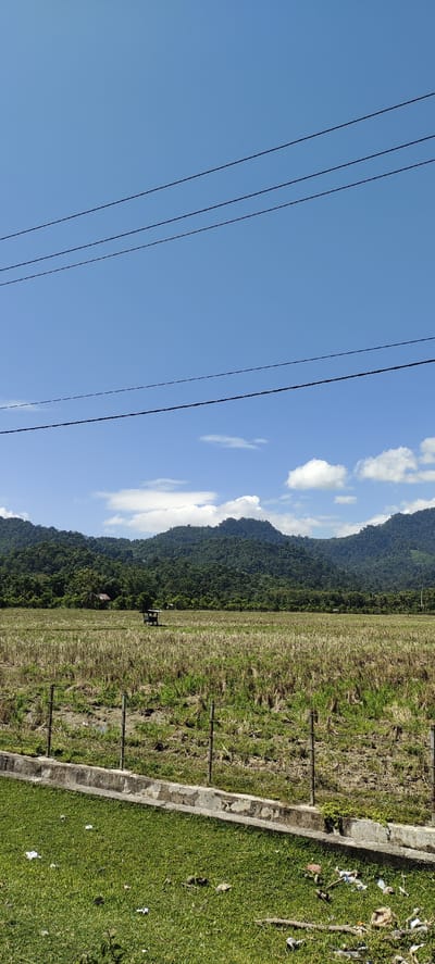 The image depicts a rural landscape in Teungohblangmee, Indonesia. The foreground features a grassy area with scattered debris, bordered by a low concrete structure and a wire fence. Beyond the fence lies a harvested field with dry stubble, punctuated by patches of green grass. In the middle ground, a small, open-sided wooden shelter stands within the field. The background is dominated by lush, green, tree-covered mountains under a clear blue sky with scattered white clouds. Several power lines are visible crossing the sky. There are no people visible in the image.