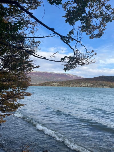 The image shows a landscape in Lapataia, Argentina. The scene is vertically oriented. The left side of the image displays trees with sparse leaves against a cloudy blue sky. The right side features a body of water, possibly a lake, with visible waves. A mountain range runs along the middle of the image, separating the trees from the water. The trees are predominantly in the foreground, while the water and mountains extend into the background. The lighting suggests it is daytime.