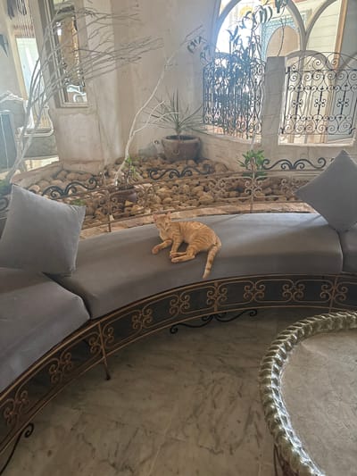 An orange tabby cat is lying on a gray sectional outdoor sofa in a courtyard in Taguermess, Tunisia. The sofa has an ornate golden metal frame. Behind the sofa is a stone wall with decorative iron grates over arched openings. The courtyard is filled with rounded stones and some potted plants. There are also decorative white branches with no leaves placed in the courtyard. The floor is marble.