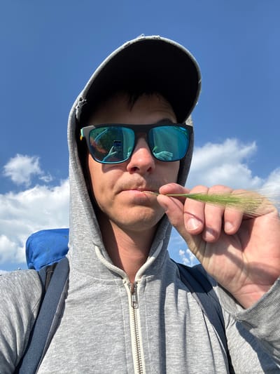 A person is wearing a grey hoodie and sunglasses, holding a piece of grass near their mouth. They appear to be outside on a sunny day with a blue sky and clouds. The person has a backpack on. The image is a selfie, with the camera reflected in the sunglasses showing the person taking the photo. This image does not contain any information that can be used to determine the location in the city of Kopeysk, Russia.