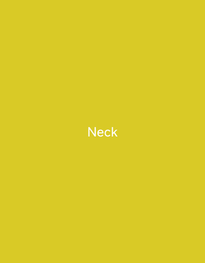 This media file features a plain, yellow background with the word "Neck" written in white, sans-serif font in the center. There are no discernible subjects, activities, or events taking place. The image lacks any notable details regarding time of day, weather, location cues, or emotions. The only visible element is the text "Neck."