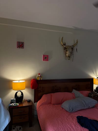 A bedroom scene is depicted with a bed dressed in pink bedding and accented with several pillows. To the left, a wall features a decorative steer skull and two small, square artworks: one with a cactus motif and the other with a heart. Next to the bed are a nightstand and a lamp, with some decorations and objects of daily use sitting on top.