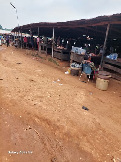 A street market in Awkuzu, Nigeria, is depicted under a cloudy sky. The market features a covered area with multiple stalls, some displaying goods that appear to be meat. Several individuals are visible, some standing at the stalls and others seated. One woman, wearing a colorful patterned top, is seated on a blue plastic chair in the foreground, facing away from the camera. Various objects are scattered around the market area, including plastic containers, buckets, and discarded items on the dirt ground. The ground itself is composed of reddish-brown soil, with tire tracks visible in some areas. A tall lamppost stands to the left of the market structures.