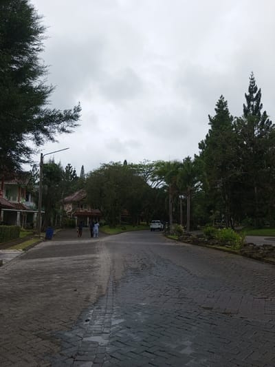 A street paved with dark grey bricks curves into the distance, flanked by buildings and lush greenery. Three people walk along the street, heading towards a white car parked further ahead. A blue trash bin stands near a building on the left. Towering trees and palm trees punctuate the landscape under a grey, overcast sky. The scene suggests a quiet, possibly residential area with a damp or wet surface.