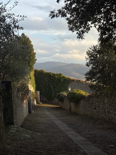 This image depicts a stone-paved pathway in Cortona, Italy, bordered by weathered stone walls and natural vegetation. The path, composed of irregular stones with a smoother central strip, is partially obscured by scattered dry leaves and debris. On the left, a substantial stone wall is extensively covered with dark green ivy, rising towards an olive tree that partially frames the upper left corner. A dark metal gate is visible in the lower left foreground, set into the wall. On the right, a lower stone wall supports a black, vintage-style street lamp and is topped with green shrubbery. The pathway recedes into the midground, where sunlight illuminates sections of the walls and vegetation. In the background, multiple layers of tree-covered hills extend into the hazy distance under a partly cloudy sky, with patches of blue and direct sunlight visible through the clouds. No individuals or animals are present, and no specific actions are occurring within the frame.