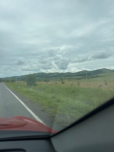 The image shows a roadside view, likely from inside a vehicle, looking out at a landscape. The foreground features the edge of a road and the side of a red vehicle. The road is asphalt with a white line marking its edge. Beyond the road, a grassy field with scattered wildflowers stretches towards a sloping, tree-lined hill that dominates the middle ground. The sky is overcast with dramatic, heavy clouds, suggesting a cloudy or potentially stormy day. The light is diffused, indicating it is daytime, but not necessarily bright sunlight. The overall scene depicts a rural or natural setting, possibly a highway or rural road in a hilly or mountainous region. The crops hint at the vastness of the landscape and the details of the clouds and foliage. The image has a slightly tilted perspective, possibly due to being taken from a moving vehicle. There are no people visible in the image, and the focus is on the natural scenery and the road.