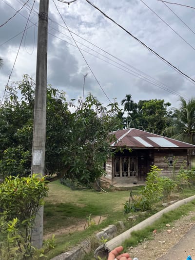 A medium shot captures a rural scene in Sukamulia, Indonesia, under a cloudy sky. A concrete utility pole stands prominently on the left, adorned with a cluster of wires. To its right, a rustic wooden house with a corrugated metal roof, featuring alternating rust-colored and silver panels, is nestled amongst lush green foliage. The house has wooden plank walls and decorative window grilles. In the foreground, a rough concrete drain runs along a dirt path, with a hand visible at the bottom right corner. The yard surrounding the house is covered in grass.