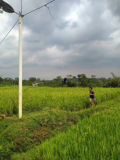 A young boy runs barefoot along a narrow path through a lush, green rice paddy field under an overcast sky. In the background, there are trees and a glimpse of a building. A black kite hovers in the air. A white pole with a streetlight attached stands on the left, with power lines extending from it. The rice paddy stretches into the distance.