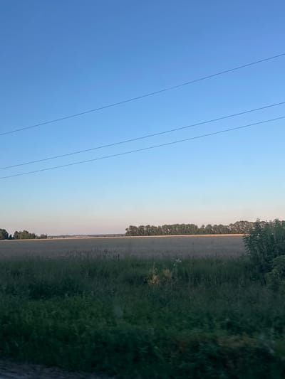 An outdoor, medium-wide shot captures a vast, empty field under a clear, bright blue sky. Three thin, black wires stretch horizontally across the upper portion of the frame, bisecting the sky. The field itself is a muted, grayish-brown, with a dense line of dark green trees forming a horizon on the distant edge. In the foreground, a thick band of dark green grass and vegetation occupies the lower quarter of the image. The overall impression is one of rural tranquility, with no people or human activity visible in the frame. The scene is static and still, suggesting a moment of peaceful solitude.