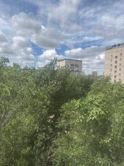 The image shows a view of buildings through dense green foliage, under a partially cloudy sky. In the background, several multi-story buildings are visible. On the right, a tall, light-colored building with rows of windows stands prominently. To its left, a slightly shorter building with similar architecture is present. In the distance, other buildings can be seen, some with red accents. The foreground and mid-ground are dominated by a profusion of green trees and bushes, with their leaves and branches obscuring much of the view of the buildings and the ground. A power line is stretched across the upper portion of the image. The scene appears to be an urban environment with significant vegetation.