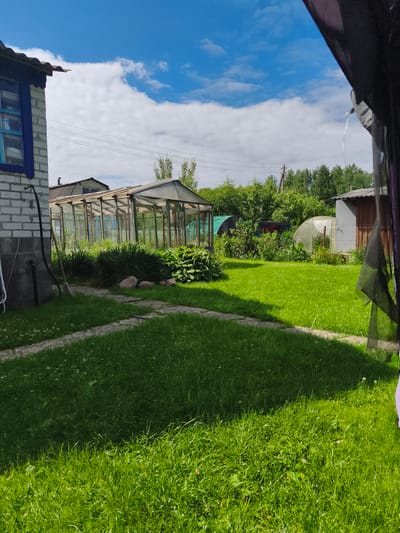 The image depicts a rear yard scene in the vicinity of Пухавіцкі сельскі Савет, Belarus. In the foreground, a mown green lawn with scattered white clover flowers is visible, partially shaded by an unseen structure. A stone pathway traverses the lawn. To the left, a portion of a brick building with blue-trimmed windows is present, featuring an external pipe and a broom leaning against the wall. Dominating the mid-ground is a large, transparent greenhouse with a wooden frame, surrounded by dense green foliage and plants. Behind the greenhouse, further vegetation and smaller, dome-shaped greenhouses are visible. The background shows a line of trees and a wooden shed. The sky is blue with scattered white clouds. No people are present in the image.