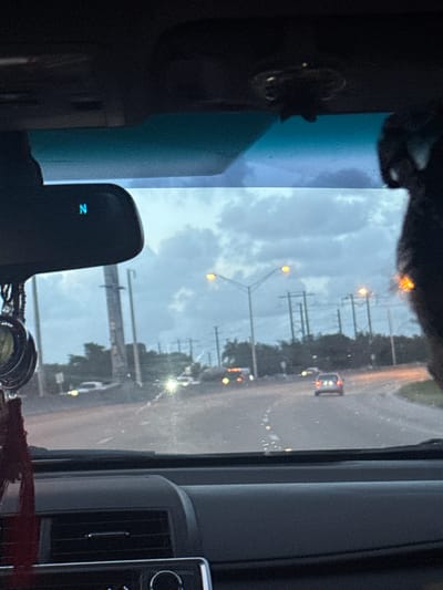 The image, taken from inside a vehicle, shows a street scene in Miami Lakes, United States of America. It appears to be raining or the road is wet, as evidenced by the reflections and the overall damp appearance of the asphalt. Streetlights and telephone poles are visible along the roadside. A vehicle with its tail lights on is ahead on the street. The interior of the car is visible.