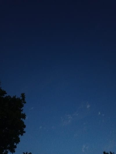 This image depicts a deep blue sky at dusk, with a silhouette of the upper branches of a large tree on the left side of the frame. The sky transitions from a dark, almost black hue at the top of the image to a lighter, vibrant blue towards the horizon. Scattered across the sky are a few faint, wispy clouds, suggesting a clear evening with minimal cloud cover. The overall mood is serene and peaceful, characteristic of the transition from day to night. The image appears to be taken outdoors, possibly in a rural or suburban setting given the presence of the tree. The lighting indicates it is twilight, likely shortly after sunset, as there is still some light in the sky but the sun has dipped below the horizon. No people or man-made objects are visible, with the focus being solely on the natural elements of the sky and tree. There is no visible text in the image.