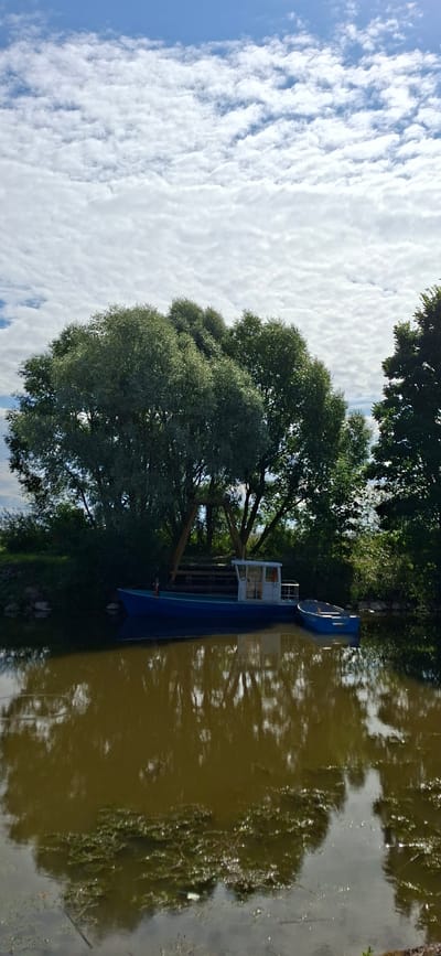 The image depicts a serene waterside scene under a partly cloudy sky. The foreground is dominated by a body of murky, brown water that reflects the surrounding environment. On the water, two boats are moored near the bank. The larger boat is blue with a white cabin structure. To its right, a smaller, blue dinghy is tied alongside.

The background features a lush, green shoreline with dense foliage and mature trees. A prominent, large tree with a wide canopy is centrally located, its branches casting shadows. Behind the boats, a wooden structure, possibly a swing set or a small platform, is visible amongst the trees. The sky above is a bright blue, interspersed with fluffy white clouds.

The image's composition and subject matter suggest a natural setting, likely a lake, river, or bay. Given that the image is from Valma, Estonia, this scene could be a view of a harbor, a secluded cove, or a peaceful spot along the coastline or a freshwater body within the region. The overall atmosphere is tranquil and natural.
