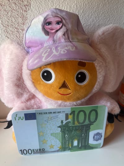 A plush toy, dressed in a pink fuzzy outfit and a cap featuring the character Elsa from Disney's Frozen, is holding a 100 Euro banknote. The toy has large black eyes, a small brown nose, and a red smile. The banknote is positioned in front of the toy, partially obscuring its lower body. The background consists of a textured, light-colored wall. The image is taken from a head-on perspective, with the toy centered in the frame. No specific location in Schwäbisch Hall, Germany can be determined from the image.