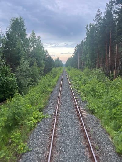 The image depicts a view from a moving train traveling along a railway track through a dense forest. The sky overhead is overcast with a gradient of colors ranging from light blue to soft pink near the horizon, suggesting either dawn or dusk. The railway tracks, consisting of gravel ballast and metal rails, recede into the distance, creating a strong sense of perspective. On either side of the tracks, lush green vegetation, including trees and undergrowth, forms a verdant tunnel. The trees on the left appear to be a mix of deciduous and coniferous, while the right side is dominated by tall, slender pine trees. There are no people or animals visible in the image. The overall environment suggests a remote, natural setting within the wilderness of Russia, potentially near the city of Kemul, which is known for its forested landscapes and railway access.