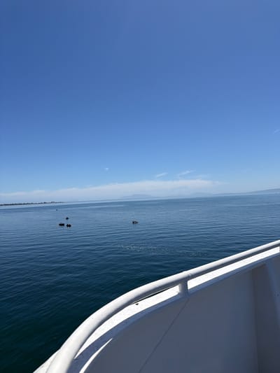 The image shows a wide expanse of calm blue water under a clear blue sky. In the distance, a hazy shoreline with some greenery is visible, possibly indicating land or islands. Several small boats are scattered across the water, some with people in them, suggesting recreational or fishing activities. In the foreground, the edge of a white structure, likely the railing of a boat or ferry, curves into the frame. The overall scene depicts a serene day on the water. While the image does not provide explicit details to pinpoint the location within Delta, Canada, the presence of calm, open water and a distant shoreline is consistent with coastal or bay areas in the region.