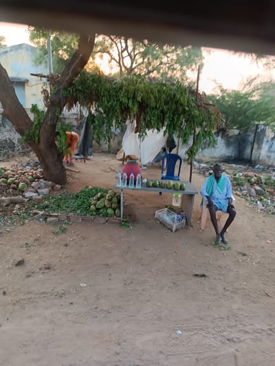 An outdoor scene in Kothacheruvu, India, depicts a makeshift vendor stall under a large tree with green foliage. The ground is packed dirt.
An elderly man, dressed in a light blue shirt, light blue shorts, and a light green shawl, sits on a cream-colored plastic chair to the right, facing slightly left. His feet are bare. He appears to be a vendor. In front of him is a rectangular table displaying approximately six green coconuts and five plastic water bottles. A blue plastic chair is visible behind the table. A white plastic crate is situated under the table.
To the left, partially obscured by the tree, a person in an orange sari is bent over, facing away from the camera, engaged in an activity near a large pile of green coconuts on the ground. A smaller pile of rocks/bricks is adjacent to these coconuts. Additional scattered green coconuts and refuse are visible on the ground further back on the right.
In the background to the left, a light yellow building with a blue painted section is visible. The sky, viewed through the tree branches, shows a warm, soft light, suggesting either sunrise or sunset. Various poles and makeshift coverings made of fabric/tarpaulin are present under the main tree, forming part of the stall structure.