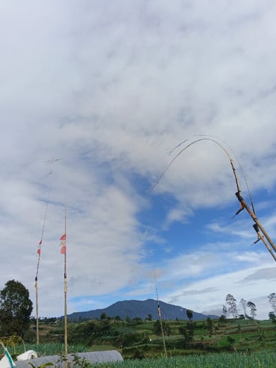 A scenic view showcases a lush green field against a backdrop of a mountain range. Several bamboo poles stand tall, some adorned with flags. Bent bamboo creates an arch in the sky. The sky is filled with a mix of clouds and patches of blue. In the foreground, agricultural coverings suggest ongoing cultivation. The entire scene evokes a sense of rural charm.