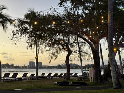 The image depicts a twilight scene on a waterfront property in the city of Noumea, France. In the foreground, a grassy lawn features a dark pathway and several dark, deflated or covered objects. Large trees with thick trunks and dense foliage are strung with numerous illuminated warm-toned string lights. A row of approximately ten dark, unoccupied beach lounge chairs is arranged on the immediate shoreline, facing a calm body of water. A line of dark buoys or markers is visible on the water's surface. To the right, a wooden pier or dock extends into the water, where three to five silhouetted figures are seated or standing. Across the water in the background, a city skyline is visible, characterized by multiple multi-story buildings, including a prominent light-colored high-rise, set against a sky exhibiting a gradient from warm yellow at the horizon to light blue overhead.