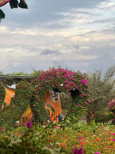 The image displays a vibrant and lush outdoor scene, likely a decorative garden or park. Dominating the composition are abundant bougainvillea-like flowers in shades of deep pink, magenta, orange, red, and white, intertwining with dense green foliage to form walls and archways.
Partially visible behind the floral arrangements is an orange or terracotta-colored wall, adorned with striking painted artwork. A prominent feature of this artwork is a stylized peacock with blue and green plumage, alongside darker green shapes that resemble cacti or desert plants. A decorative white pattern on a darker background can also be seen on the wall, suggesting intricate architectural or artistic details.
Date palm fronds are visible in the upper right and center left, indicating a warm, tropical climate. The sky, visible in the upper left, shows soft, scattered clouds, suggesting either early morning or late afternoon lighting. No specific activity or event is taking place, and no people are visible. The overall impression is one of natural beauty and carefully curated landscaping. There is no visible text in the image. The setting is consistent with a tropical location like Phước Hải, Vietnam.