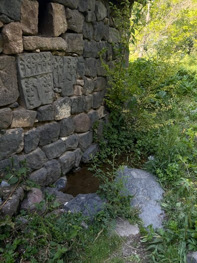 A stone wall with embedded engraved blocks is partially covered with green plants. The stones are varying shades of gray. There are trees and foliage at the top of the image. A large gray rock formation with a dark hole is to the right. Plants grow on and around the stones and rocks.