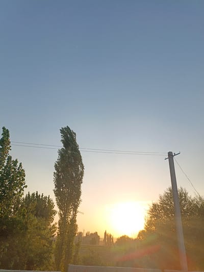 The image depicts a rural landscape at sunset in Нуъмон Розиқ, Tajikistan. The sky is a gradient of pale blue to soft yellow as the sun sets on the horizon. Silhouetted trees and vegetation are visible in the foreground and middle ground, with tall, slender trees dominating the central area. A concrete utility pole with wires stretches across the frame, intersecting with the trees. In the distance, a field is faintly discernible, along with more trees and structures that appear to be rural buildings or agricultural supports. The lighting suggests late afternoon or early evening, with a warm, hazy glow cast over the scene. There are no people or animals visible in the image.