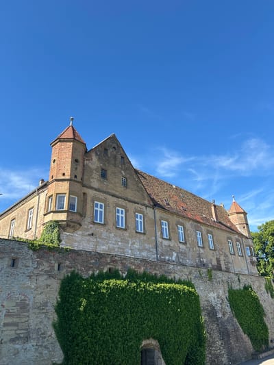 A low-angle perspective shot captures a large, historic building, likely a castle or fortified structure, set against a clear blue sky with wispy clouds. The building's facade features multiple windows, some with white frames, and is partially covered in dense green ivy. The architecture incorporates brick elements, including a prominent tower with a pointed roof. The building's walls show signs of age and wear, with visible brickwork and varied textures. The location is identified as Untergruppenbach, Germany.