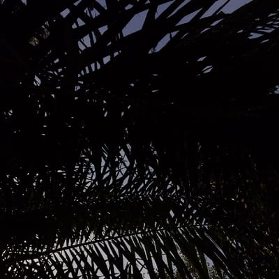 The scene, captured in Sámara, Costa Rica, presents an upward view through a dense canopy of palm fronds. The fronds are heavily silhouetted against a brighter, pale blue sky, indicating strong backlighting. Their dark, serrated edges form an intricate, overlapping pattern across the entire frame, with fragmented patches of the clear sky visible through the gaps in the foliage. No people, animals, or man-made objects are discernible. The environment appears tropical and natural, observed from directly beneath the vegetation.