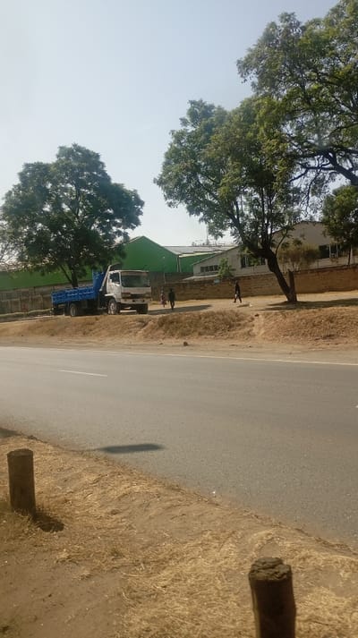 A truck with a blue bed is parked on the side of a road. People walk along the dirt shoulder next to a low wall and buildings with green roofs. Large trees are on either side of the scene. A gray road stretches into the distance. In the foreground, a wooden post stands near the edge of the road. The sky is hazy and light blue.